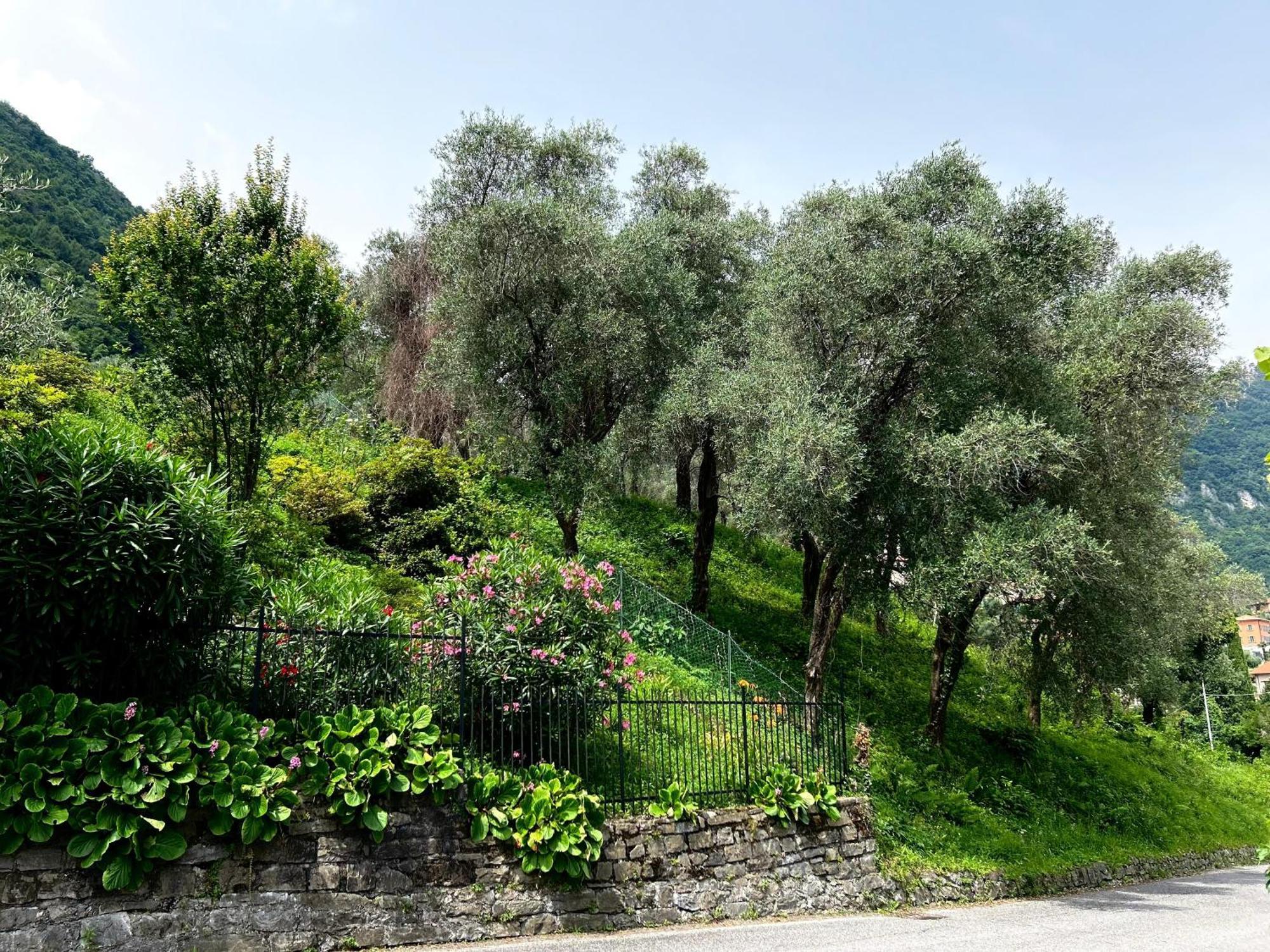 Lakeview Bellagio Apartment Limonta Buitenkant foto